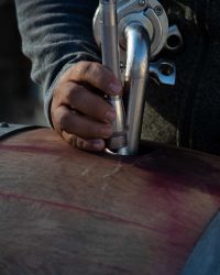FillingBarrelLOW