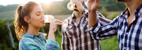 Happy young people tasting wine in vineyard